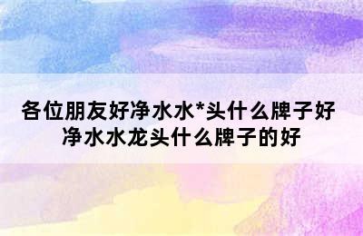 各位朋友好净水水*头什么牌子好 净水水龙头什么牌子的好